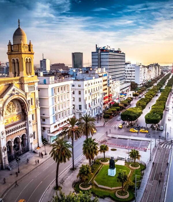 Tunis Avenue Bourguiba